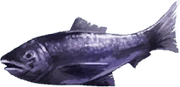 trails_from_zero_pez_10.png