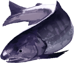 trails_from_zero_pez_11.png