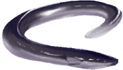 trails_from_zero_pez_12.png