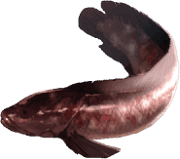 trails_from_zero_pez_16.png