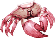 trails_from_zero_pez_18.png
