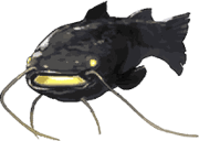trails_from_zero_pez_20.png