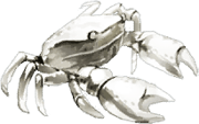 trails_from_zero_pez_21.png