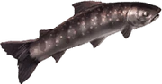trails_from_zero_pez_4.png