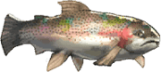trails_from_zero_pez_9.png